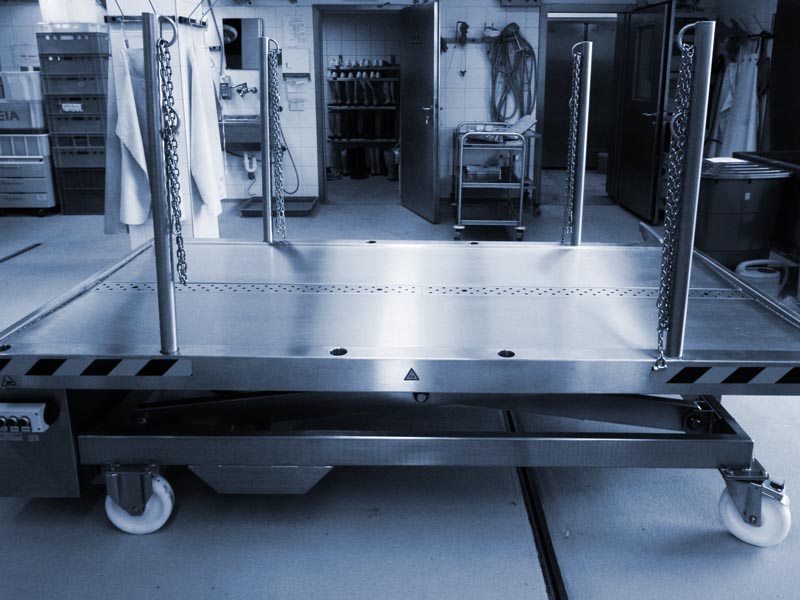 pathologie-veterinaire-bleu